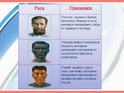 Опишите основные расы
