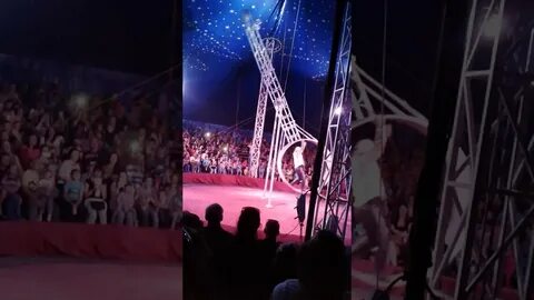 Цирк волжский волгомолл 2024 октябрь