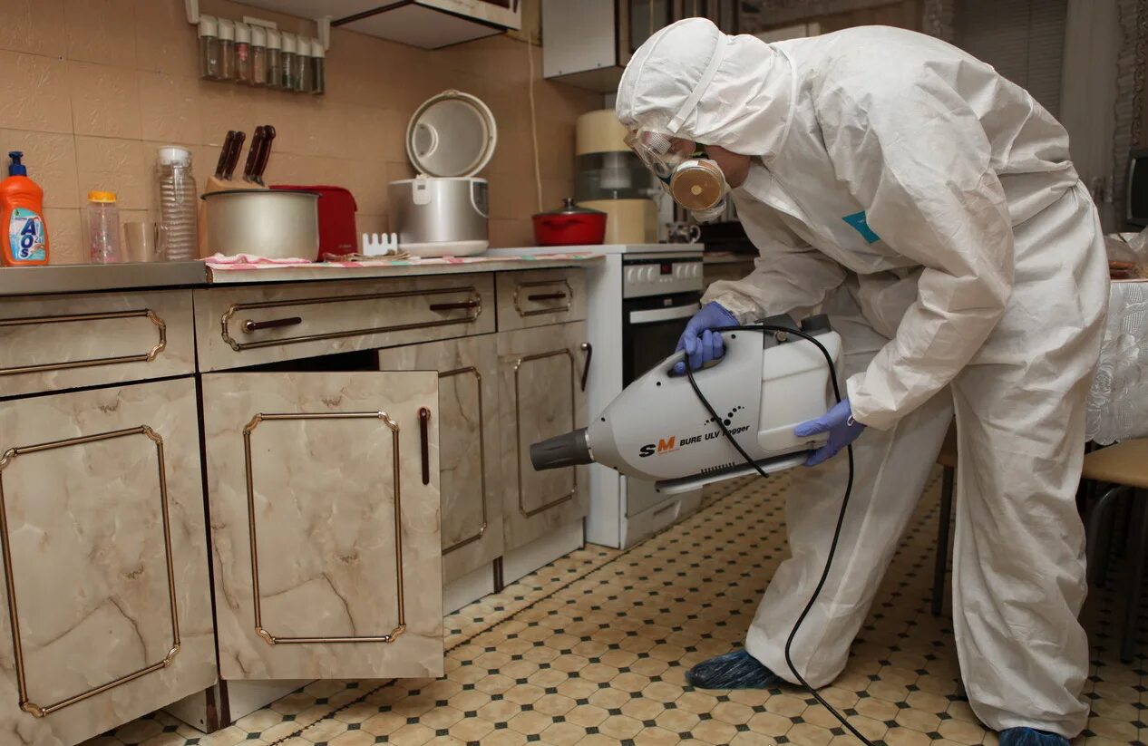 Дезинсекция от клопов в квартире. Дезинсекция от клопов в квартире. Дезинфекция помещений. Дезинфекция помещений. Оснащение для дезинсекции.