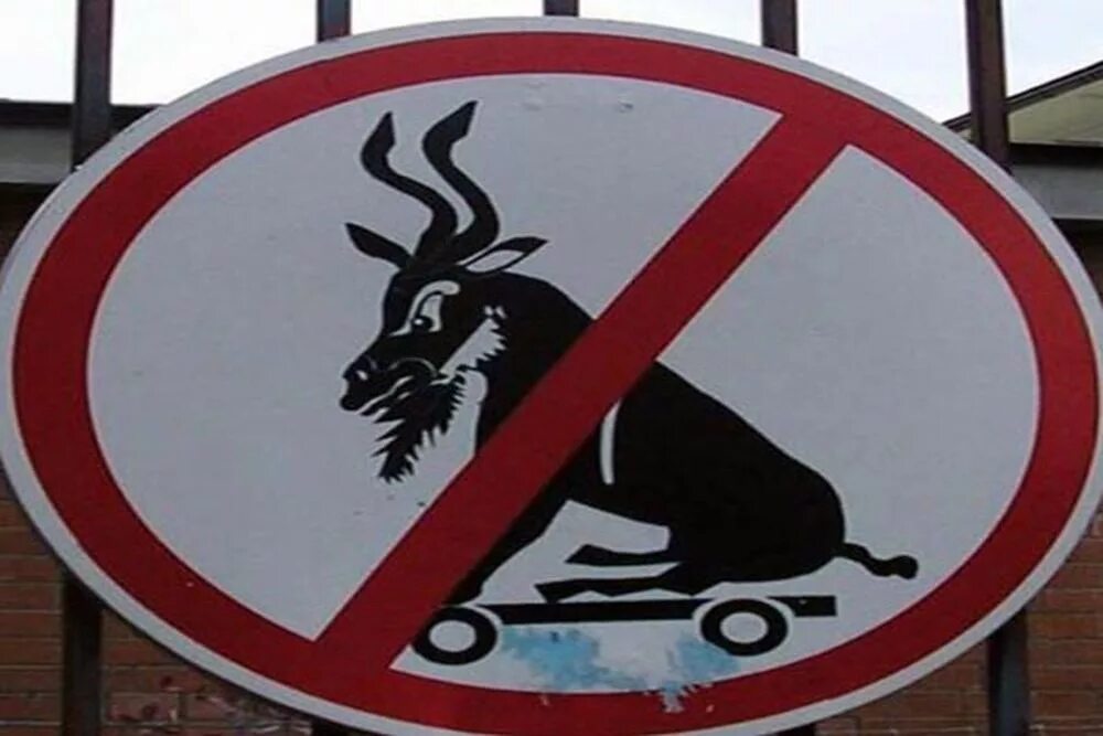 шуточные знаки дорожного движения для детей. знак чайник. прикольные дорожные знаки. знаки приколы. знаки приколы.