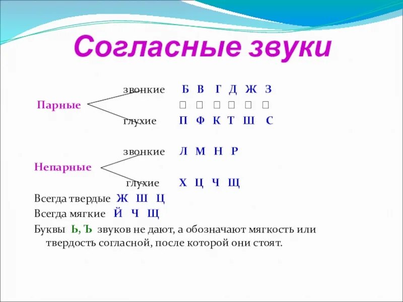 Л какая пара