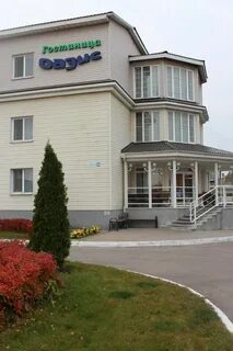 Оазис псков