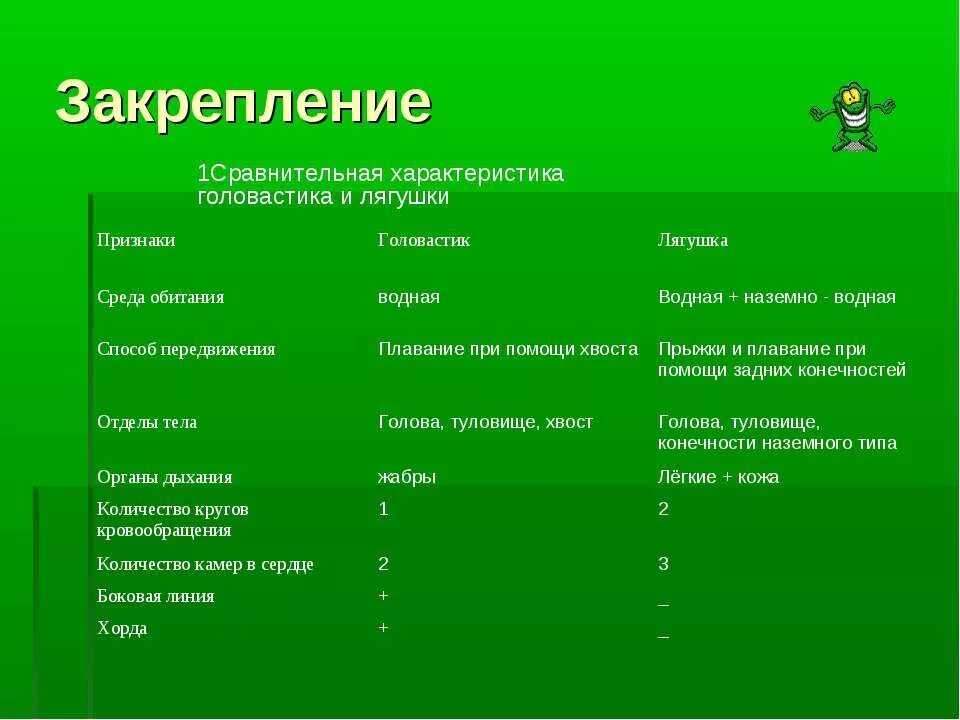 Внутреннее различие головастика и лягушки. Сравнительная таблица головастика и лягушки. Передвижение лягушки и головастика таблица. Передживение лягушки и головастика таблица. Сравнительная характеристика головастика и лягушки.