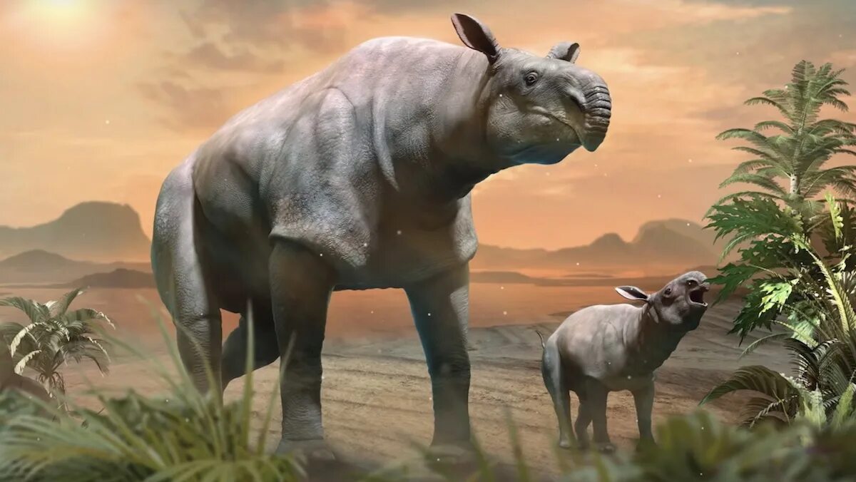 Вымерший гигант 9 букв сканворд. Гигант стирогозавр. Paraceratherium. Hornless Rhinoceros. Land mammal.