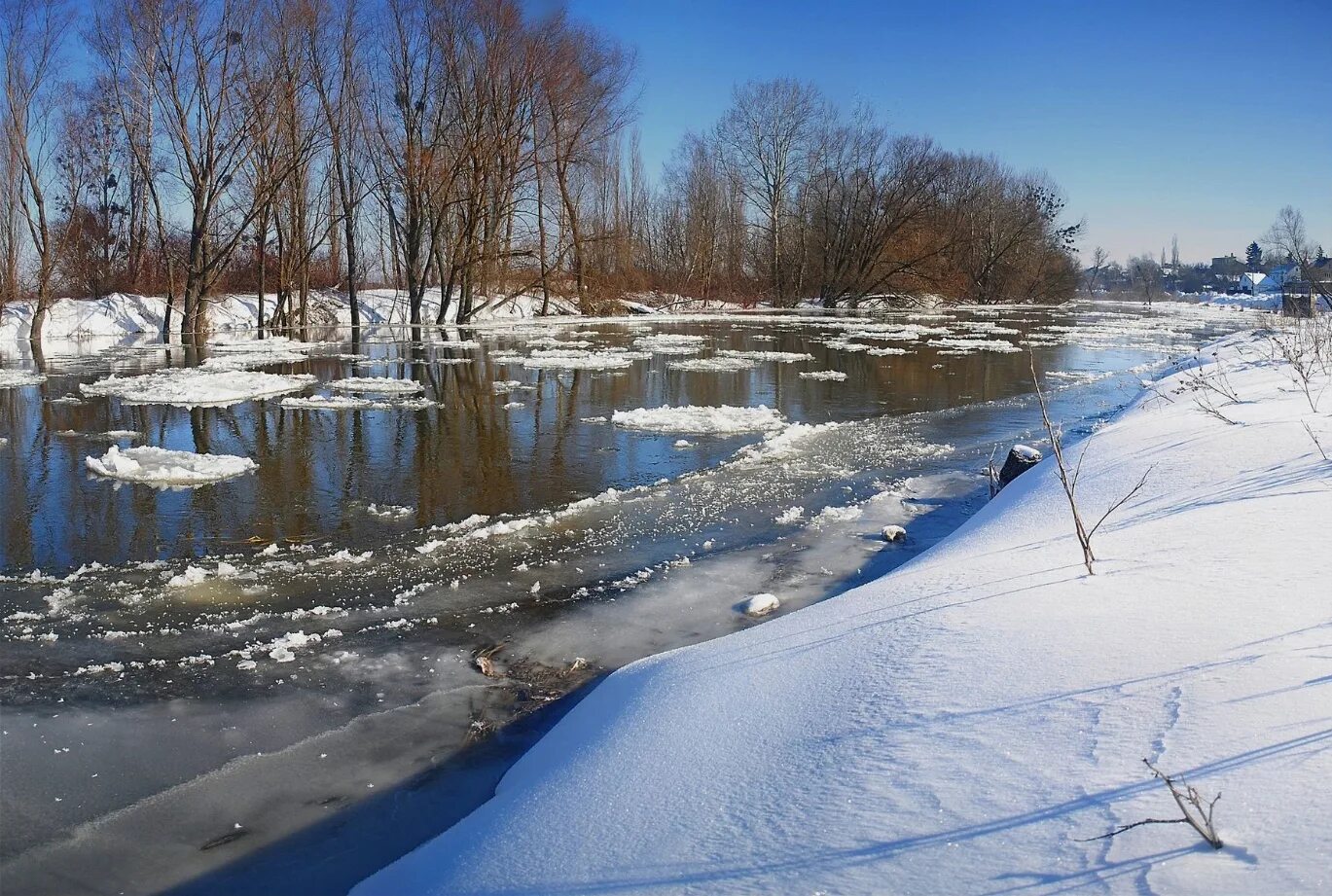 Талые воды весной. Весеннее половодье. Весенняя река. Половодье весной. Река весной.