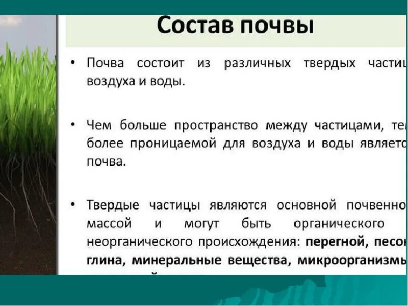 Повышение плодородие почвы называется