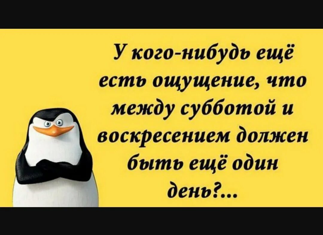 Цитаты про выходные. Фразы про выходные прикольные. анекдот про субботу. суббота цитаты. смешные цитаты про выходные.