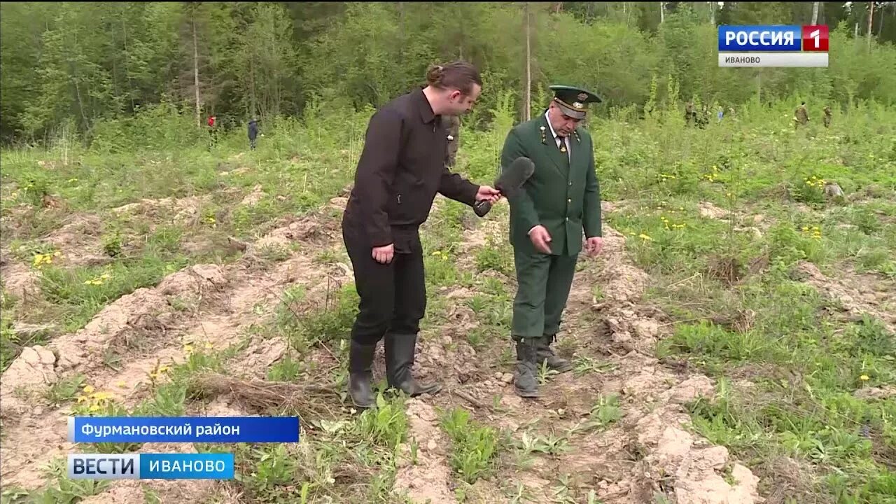 Ельников иваново. Ельников иваново. Ельников иваново. Ельников иваново. Дпк ивановский лес.