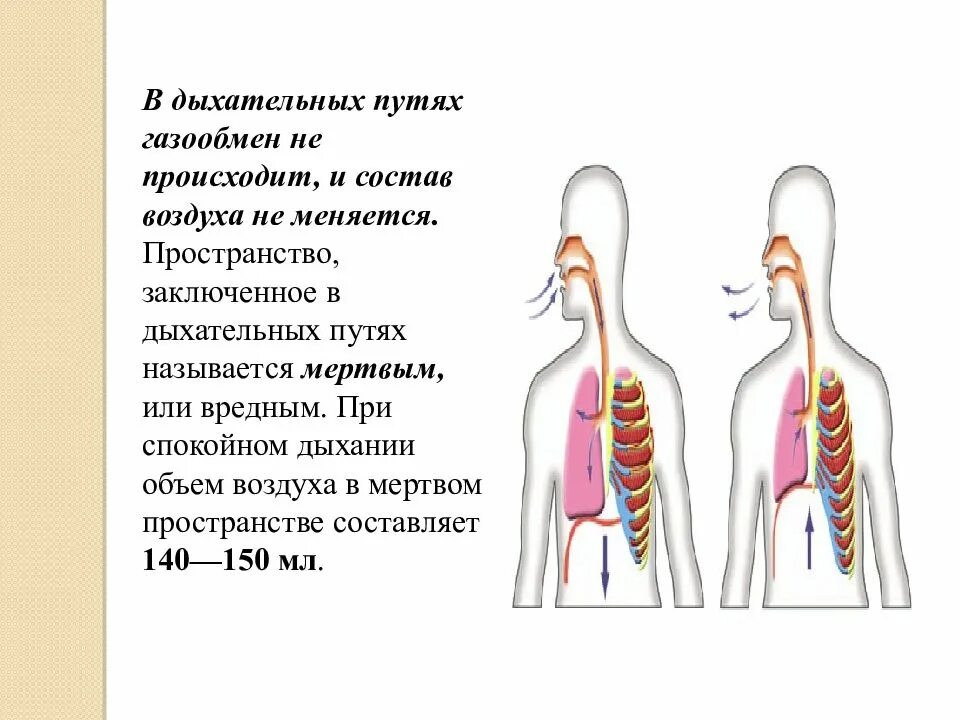 Дыхание подчиняется