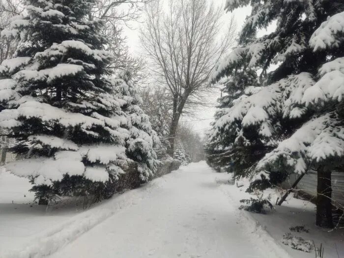 Плотный зимний. Снегопад. Ростов зимой. Зима в Ростове фото. Фото Ростов в снегу зимой.