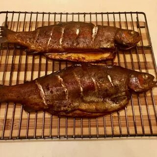 Какую рыбу можно коптить горячим