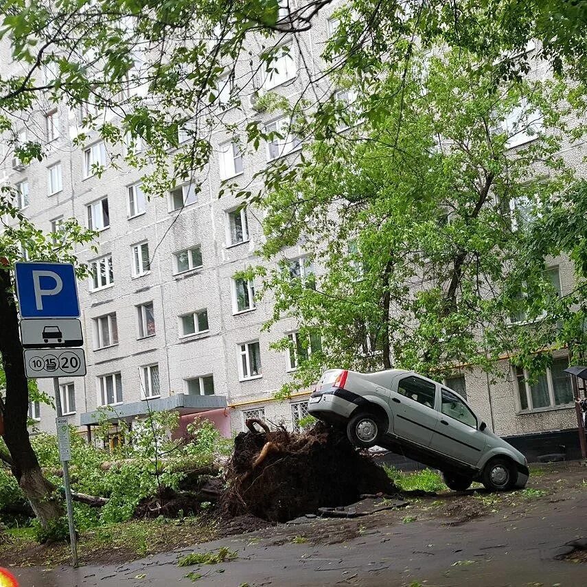 Ураган в Москве 2001. Ураган в Москве (2017). Москва август 2017 ураган. Ураган в Москве.