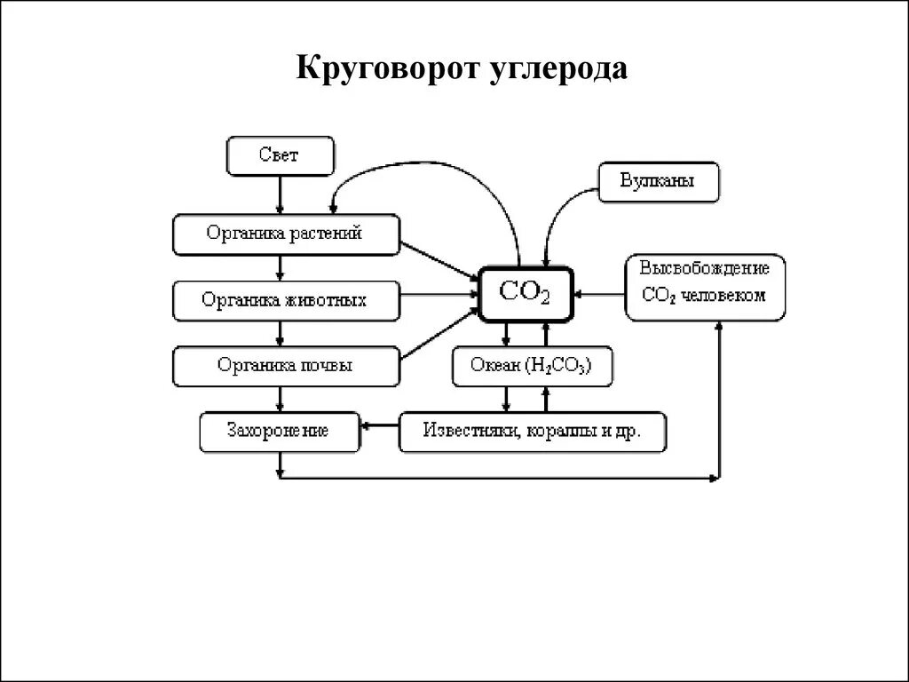 Круговорот углерода химия. Биохимический цикл углерода схема и описание\. Биологический круговорот углерода схема. Схема биогеохимического круговорота углерода. Биогенный круговорот углерода схема.