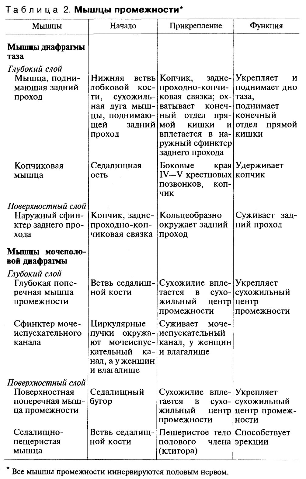 Мышцы диафрагмы таблица - TouristMaps.ru