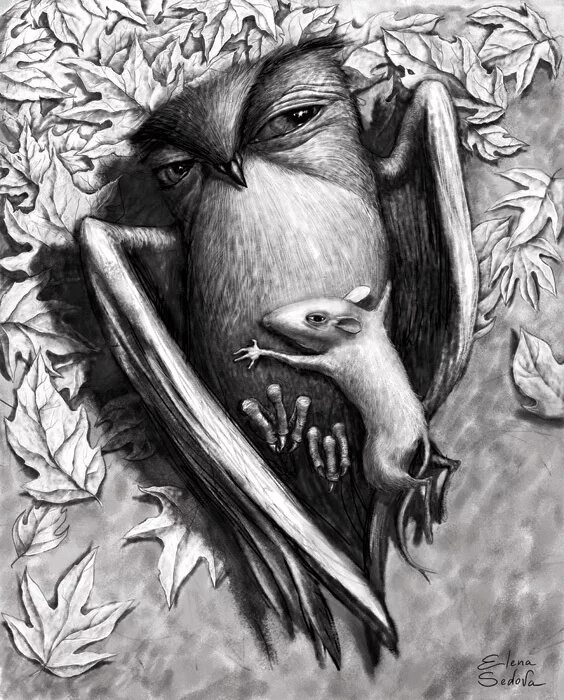 Сова и мышь рисунок. Филин и мышь. сова и крыса. сова с мышкой в когтях. сова с мышкой.