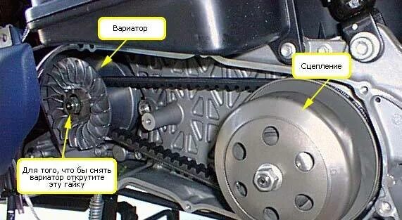 Ремень вариатора на скутер 50 кубов. Ремень вариатора стелс скутер 50 кубов. Сцепление вариатора скутер 4т. Ремень вариатора стелс Скиф 50 2т. Скутер не крутит