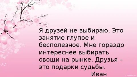 Глупое это занятие
