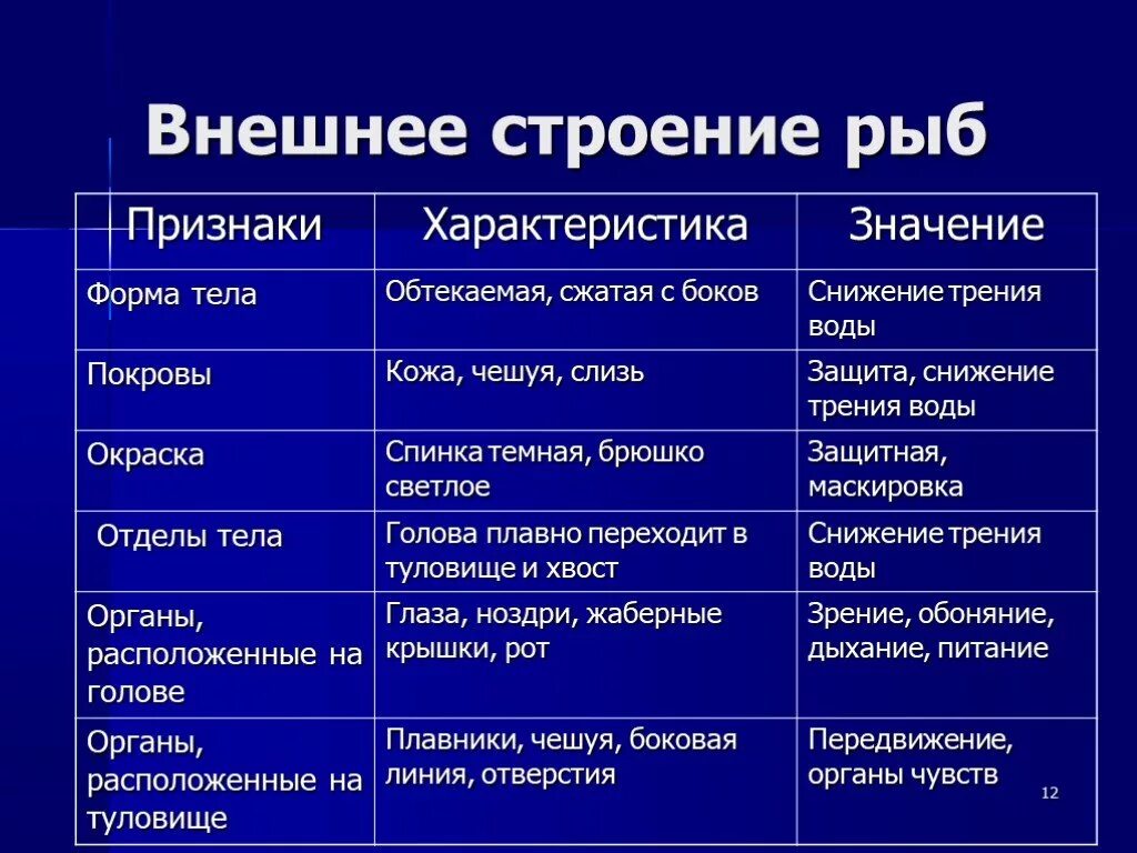 Строение рыбы 7 класс таблица