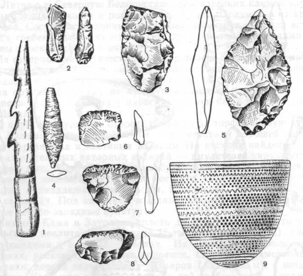 Льяловская неолитическая культура. Льяловская археологическая культура керамика. Нарвская культура — неолитическая археологическая культура. Стоянка эпохи неолита раскопки. Неолит москва.