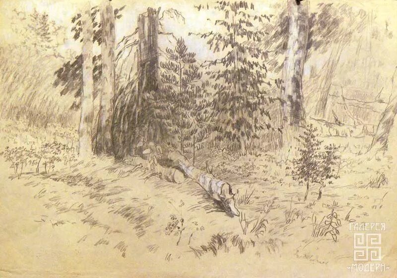 Тайга рисунок 4. Тайга карандашом. Рисунки тайги лёгкие.