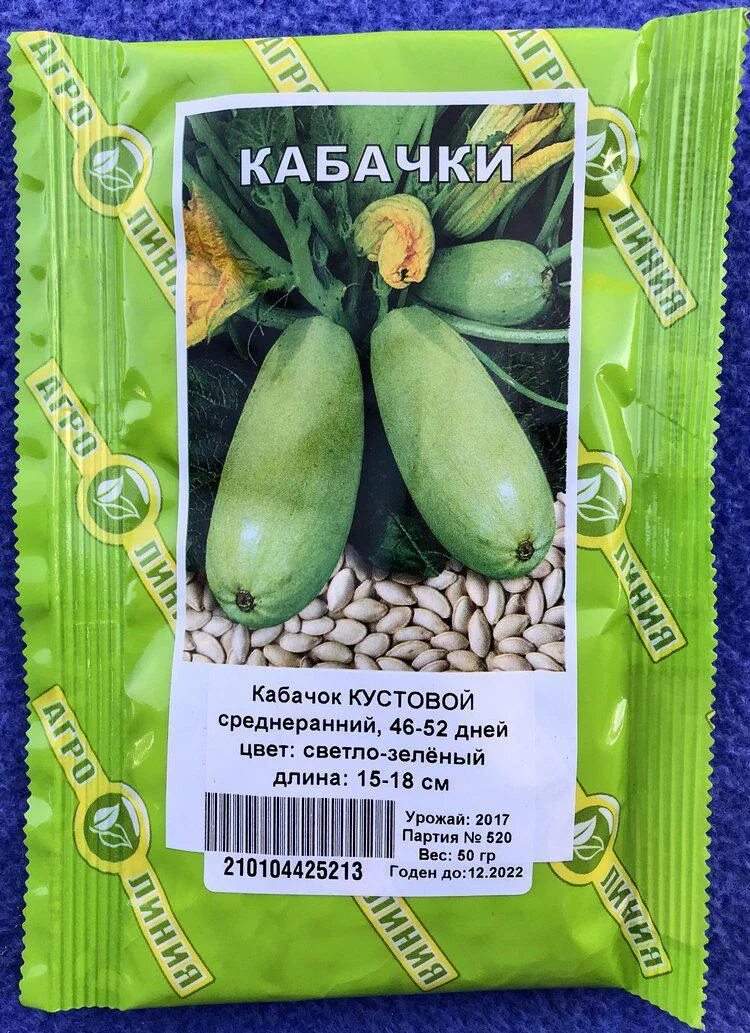 Семена кабачков кустовых. Цукини это сорт кабачков. Кабачки кустовые лучшие сорта. Семена кабачков кустовых. Семена цукини кустовые.