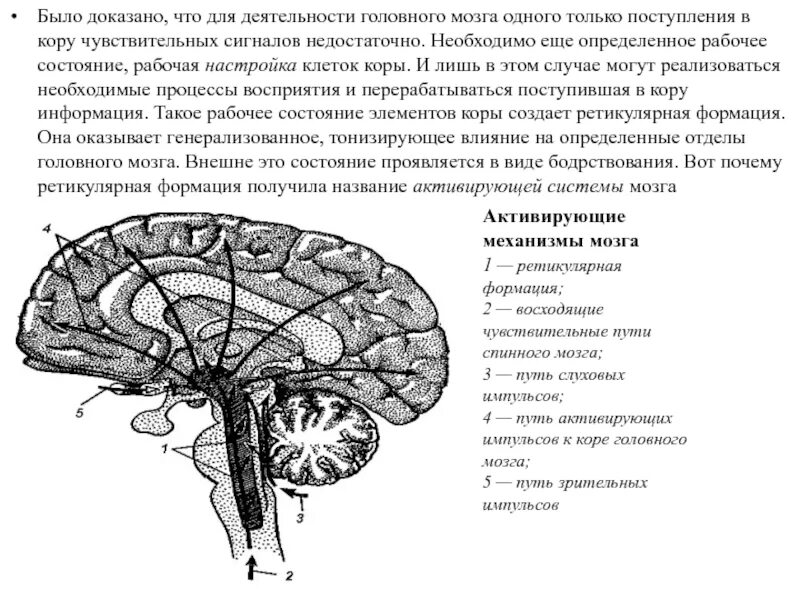 Курпатов дефолт-система мозга. Курпатов дефолт-система мозга. Курпатов дефолт-система мозга. Дефолт система мозга. Дефолт-система мозга» (дсм).