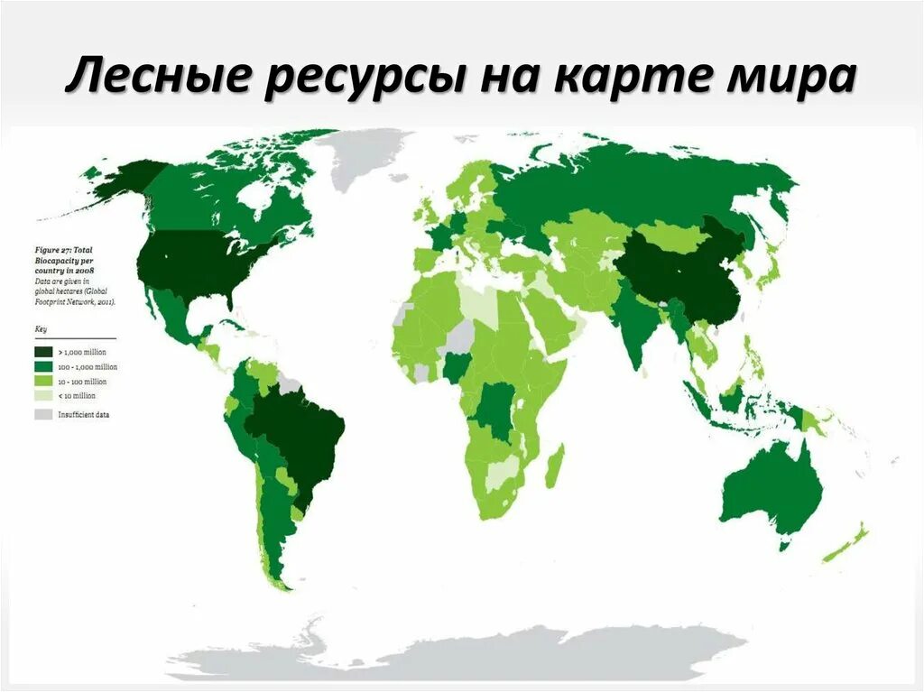 В каких странах есть леса. Карта обеспеченности лесными ресурсами.