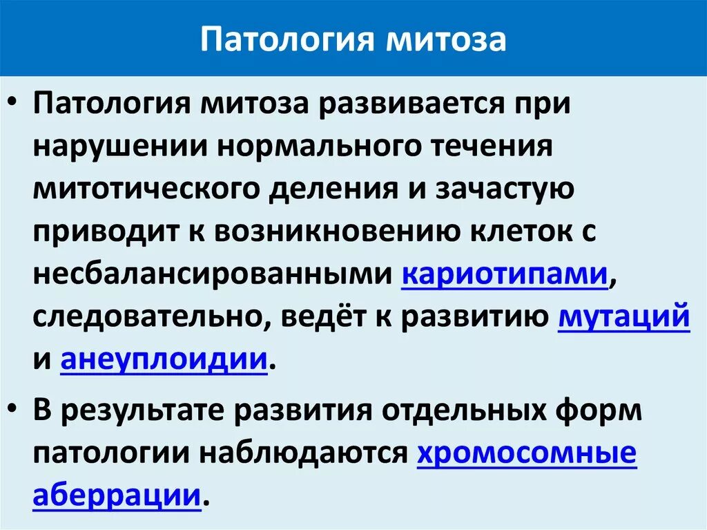 Патологический митоз рисунок