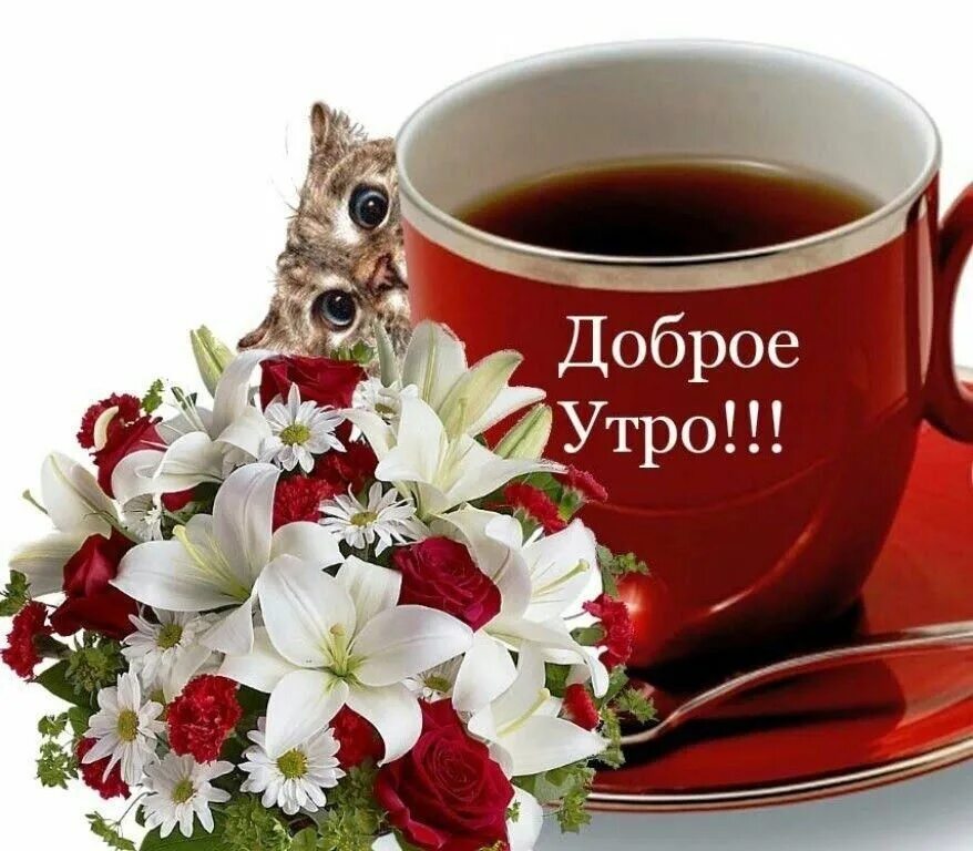 Какое доброе утро картинки. Пожелания доброго утра. открытки с добрым утром. необычные пожелания с добрым утром. приятные пожелания с добрым утром.