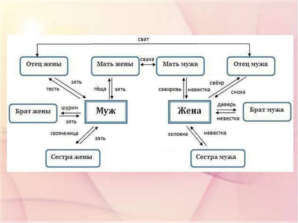 Сноха брата мужа. Родственные связи схема родства. Жена родного брата кем приходится сестре мужа. Схема родственных связей в семье. Родственники названия схема.