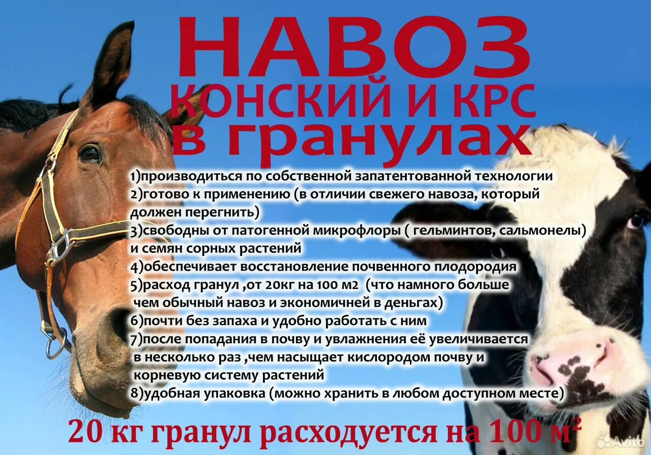 Конный навоз. Реклама конского навоза. Гранулированный конский навоз применение. Корова в полный рост. Малкинский конезавод.