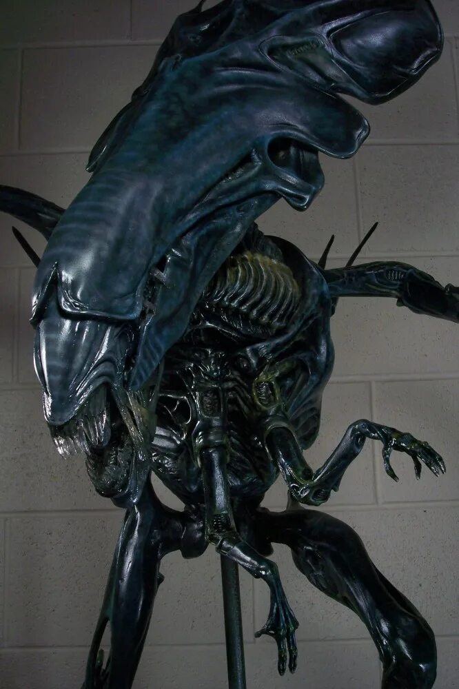 чужой пакет. чужой пакет. ксеноморф анатомия. амулет чужой.