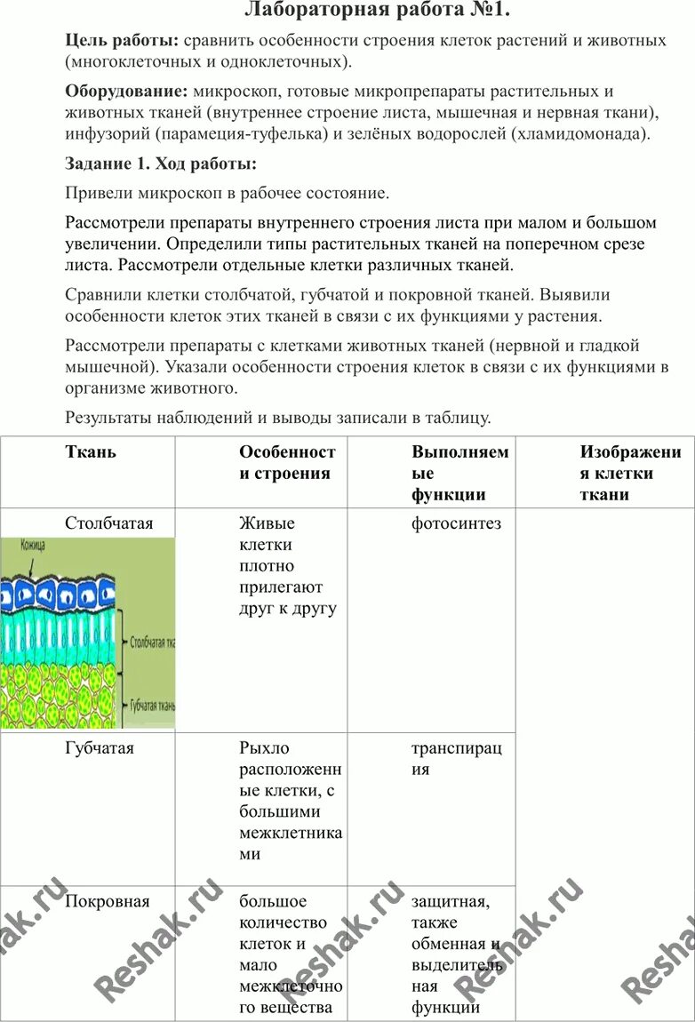 Ткань столбчатая губчатая покровная нервная мышечная таблица. Биология 9 класс столбчатая ткань. Лабораторная работа по биологии 9 класс строение растений. Лабораторная работа строение клетки. Лабораторная работа 5 биология 9 класс пономарева