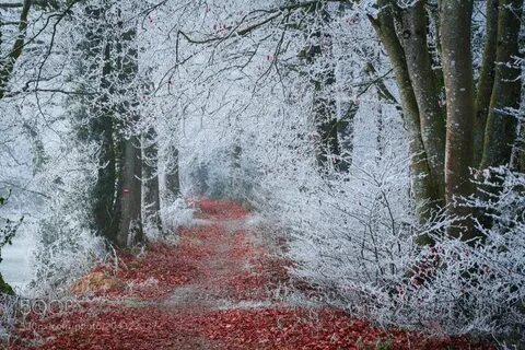 First snow