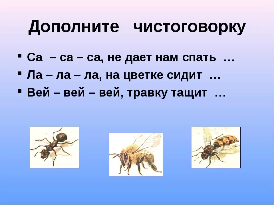 Чистоговорки про насекомых. Чистоговорки насекомые для дошкольников. Насекомые для детей 6-7 лет. Насекомые чтение для дошкольников. Текст про насекомых