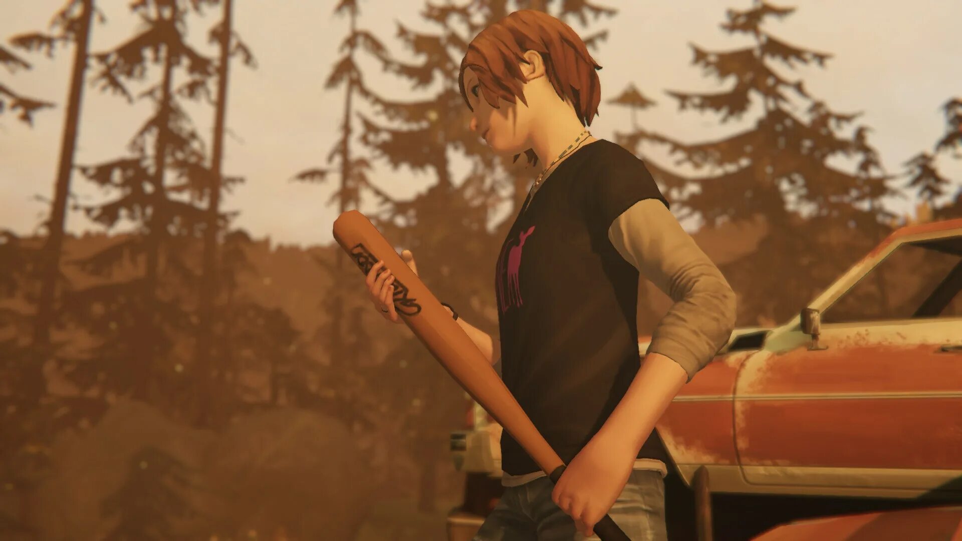 Life is strange где. Life is Strange 2 лагерь. Life is Strange стим. Life is Strange обои. Life is Strange Тайфун.