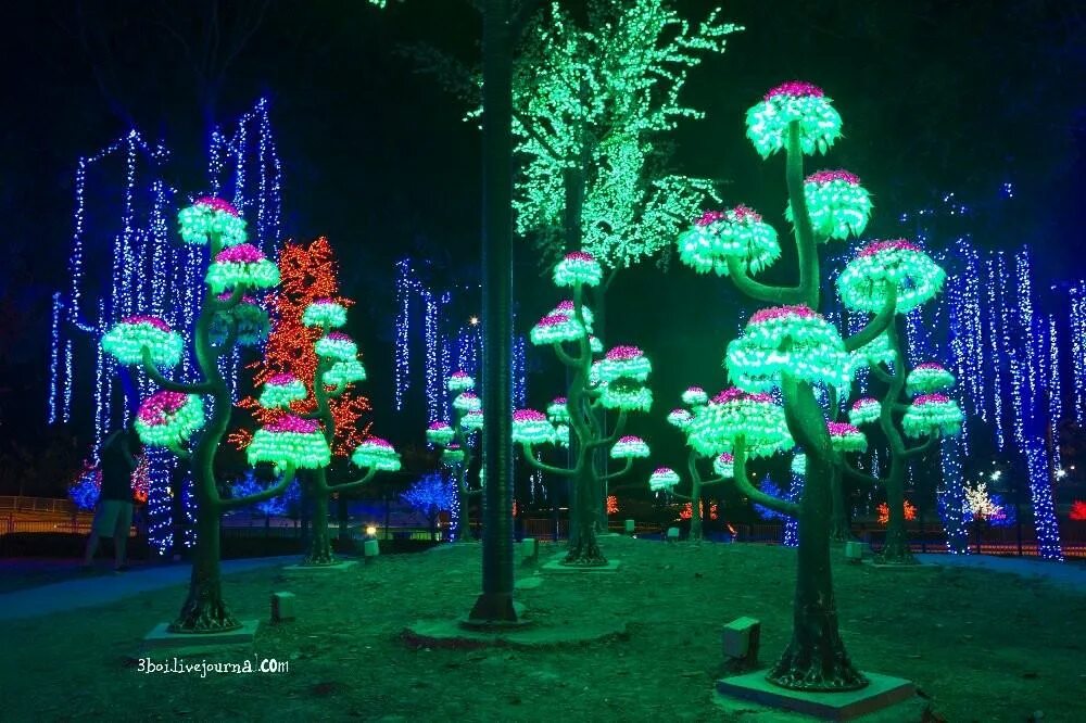 Дерево малайзия. Подсветка деревьев. Искусственное дерево с подсветкой. Иллюминация на деревьях. Подсветка деревьев снизу.