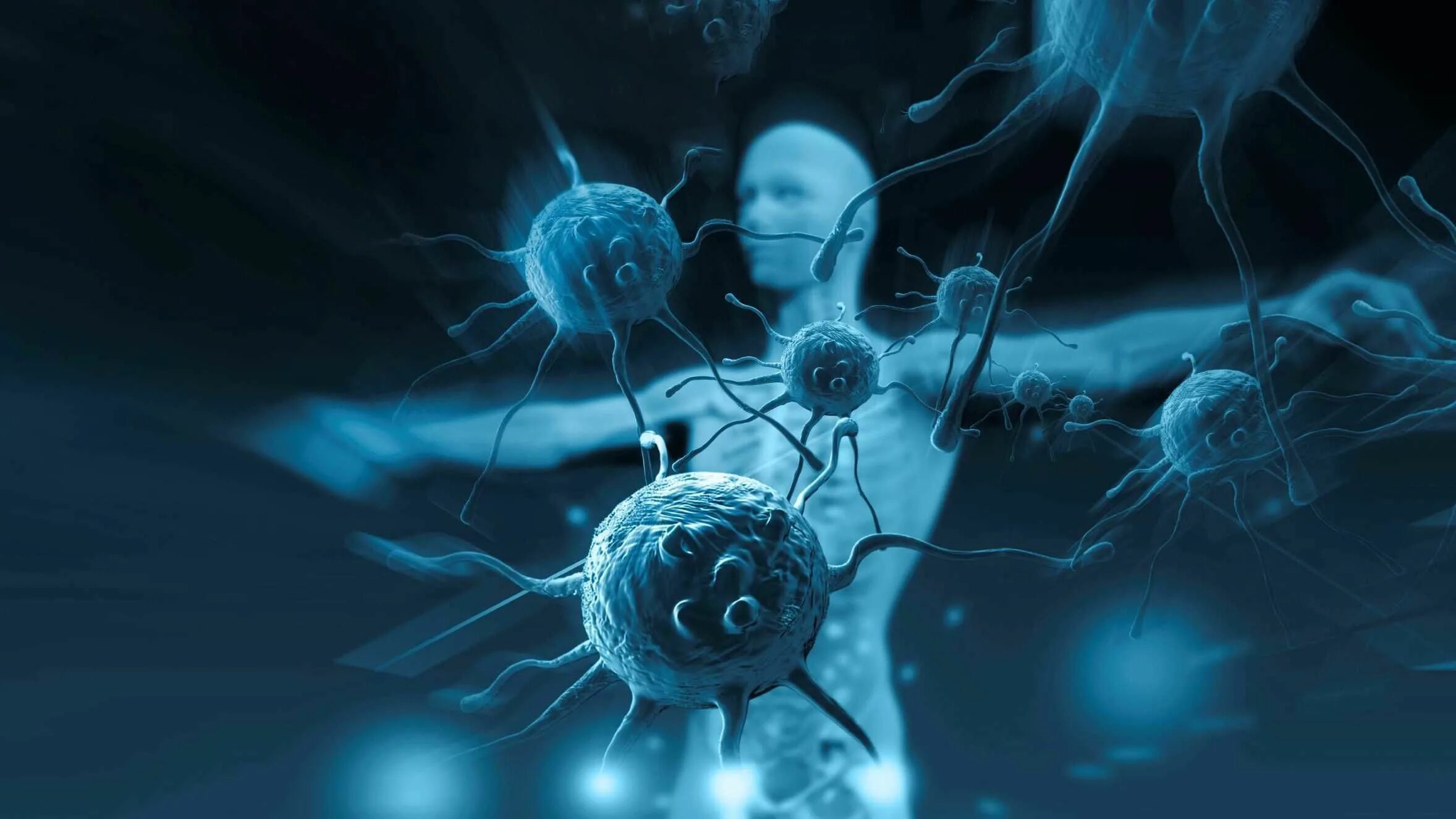 Virus humans