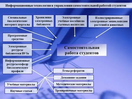 Информационные процессы самостоятельная работа