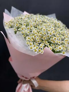 Ромашка 25