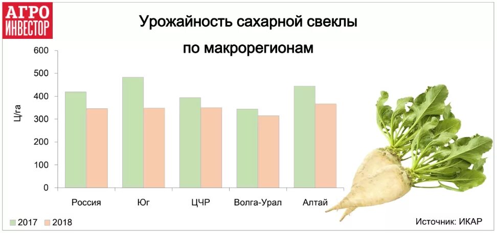 Сколько килограммов сахарной свеклы. Урожайность сахарной свеклы с 1 га в России. Урожайность свеклы с 1 га. Урожайность сахарной свеклы с 1 га. Урожайность кормовой свеклы.