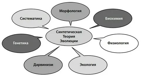 Синтетическая теория биологии