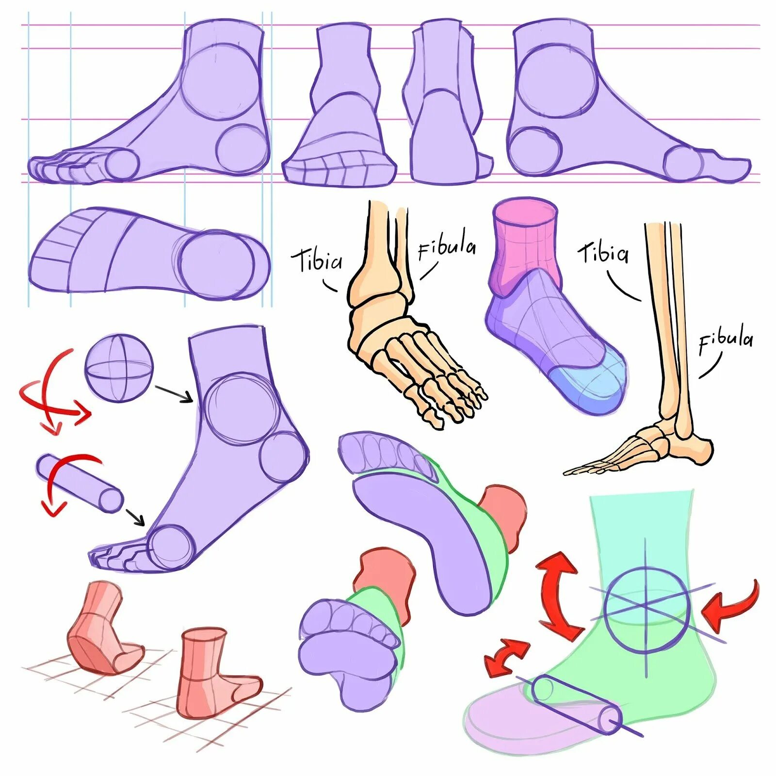 Схема рисунка стопы. Стопы референсы. Стопы ног туториал. Рисование ног. Рисование стопы.