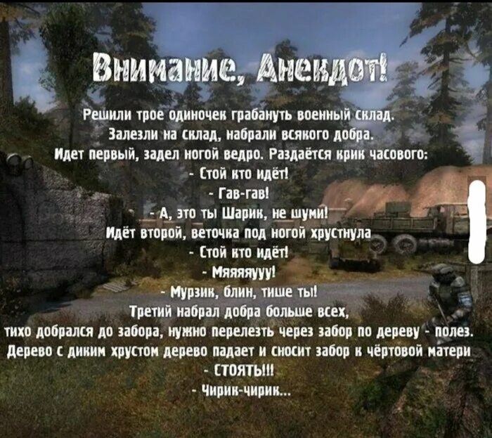 Жили были не тужили четверо текст. Анекдоты из сталкера. Шутки про сталкер. Шутки из сталкера. Сталкерские анекдоты.