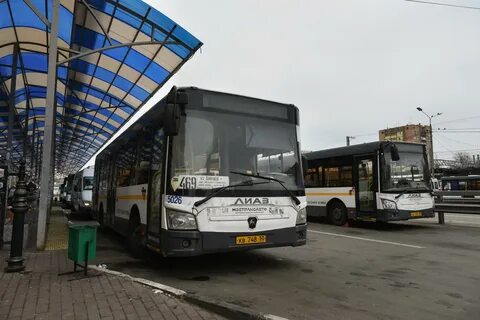 Перевозка пассажиров и иных лиц автобусами