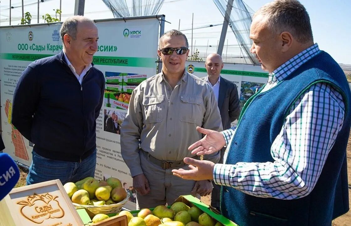 Город сад директор. Сады Карачаево-Черкесии. Сады КЧР. Сады КЧР директор. Айдын Ширинов сады КЧР.