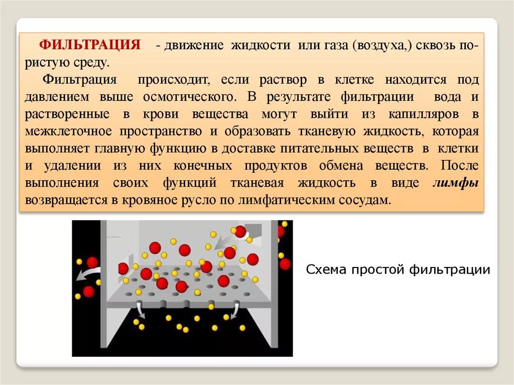 Фильтрование жидкостей. Фильтрация транспорт веществ. Теории процесса фильтрации. Фильтрационный поток жидкости. Фильтрация в мембране клетки.