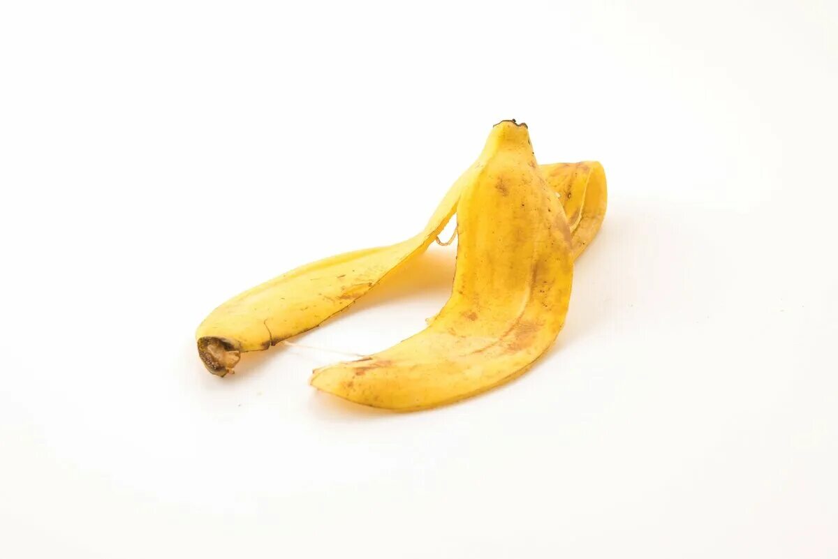 Можно есть кожуру банана. Кожура банана. Шкурка банана. Кожура от банана. Шкурка от банана на прозрачном фоне.