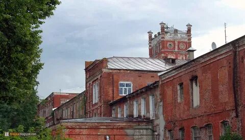 Завод в орехово зуево