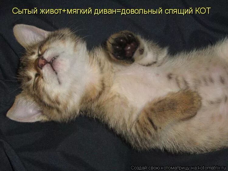 Впалый животик. Сытое пузико котенка. Красивый пупок. Стишок про бегемотика. Женский животик.